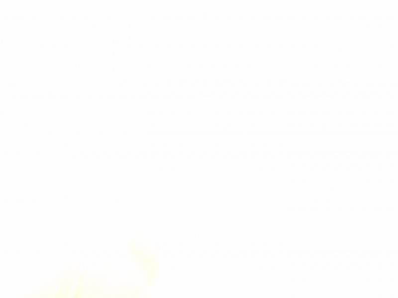XXII_Coppa_Etruschi_2017